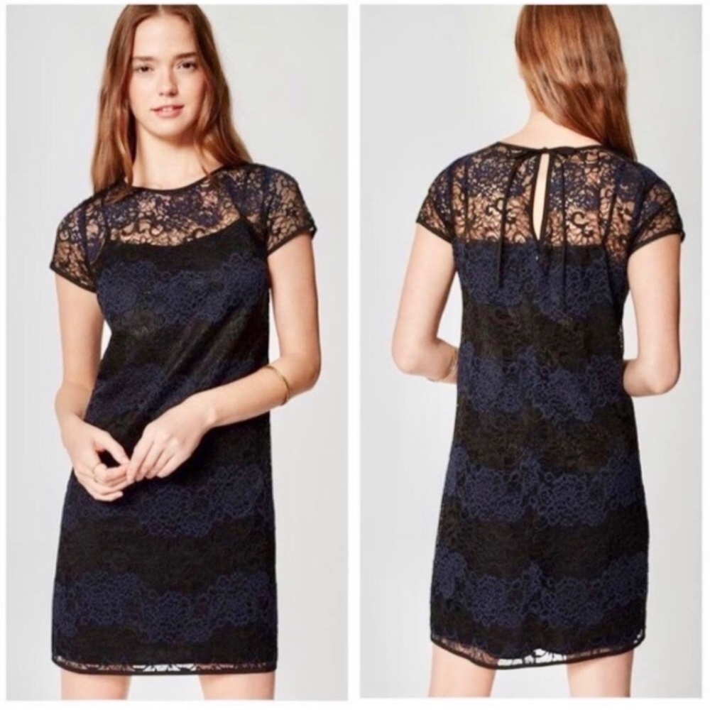 Black And Blue Lace Women’s Midi Dress